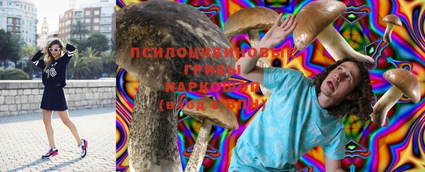 винт Алзамай