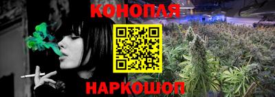 спиды Гусев