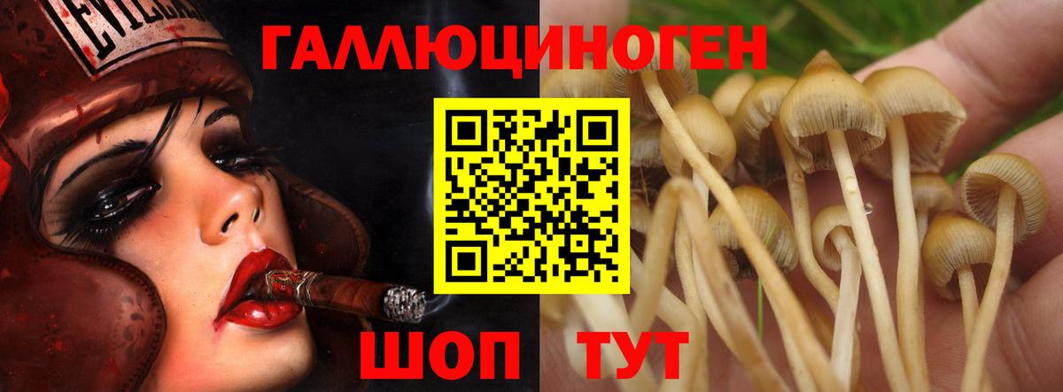 Галлюциногенные грибы мицелий  Вход с VPN  Нижний Тагил 